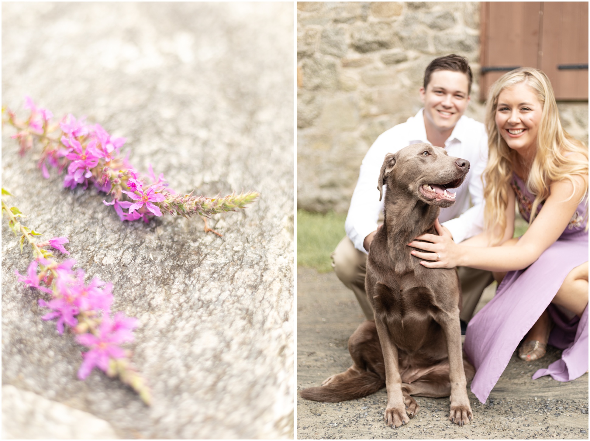 The left image is of the flowers from the field near by, the right image is of the katie, rob, and their dog, kona
