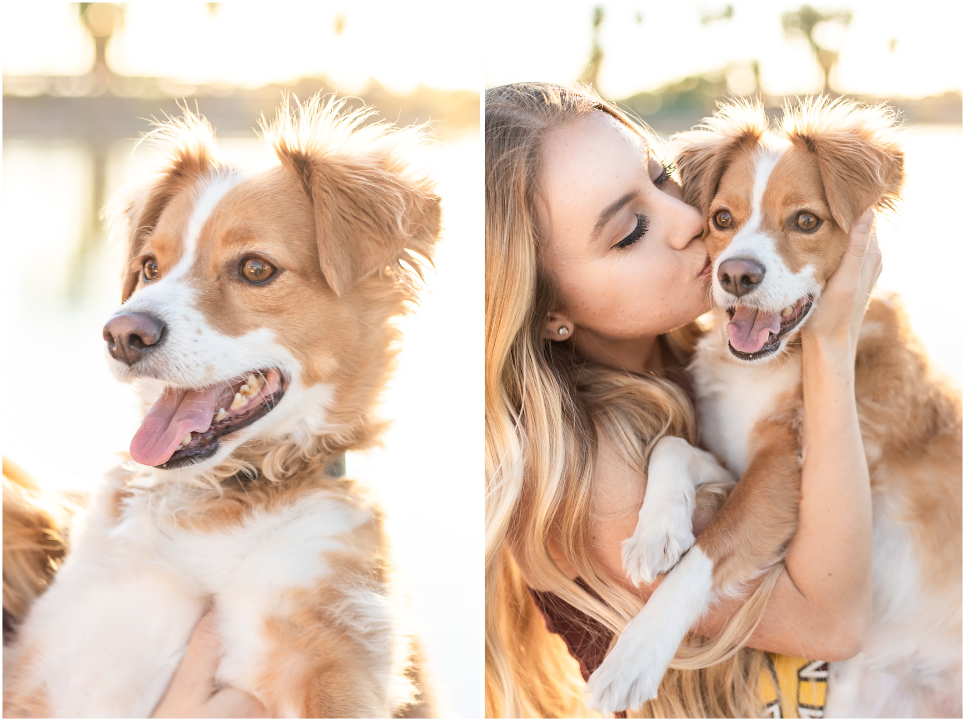 Ally Bascom's Graduation Portraits from ASU Tempe at Papago Park by MaeWood Photography