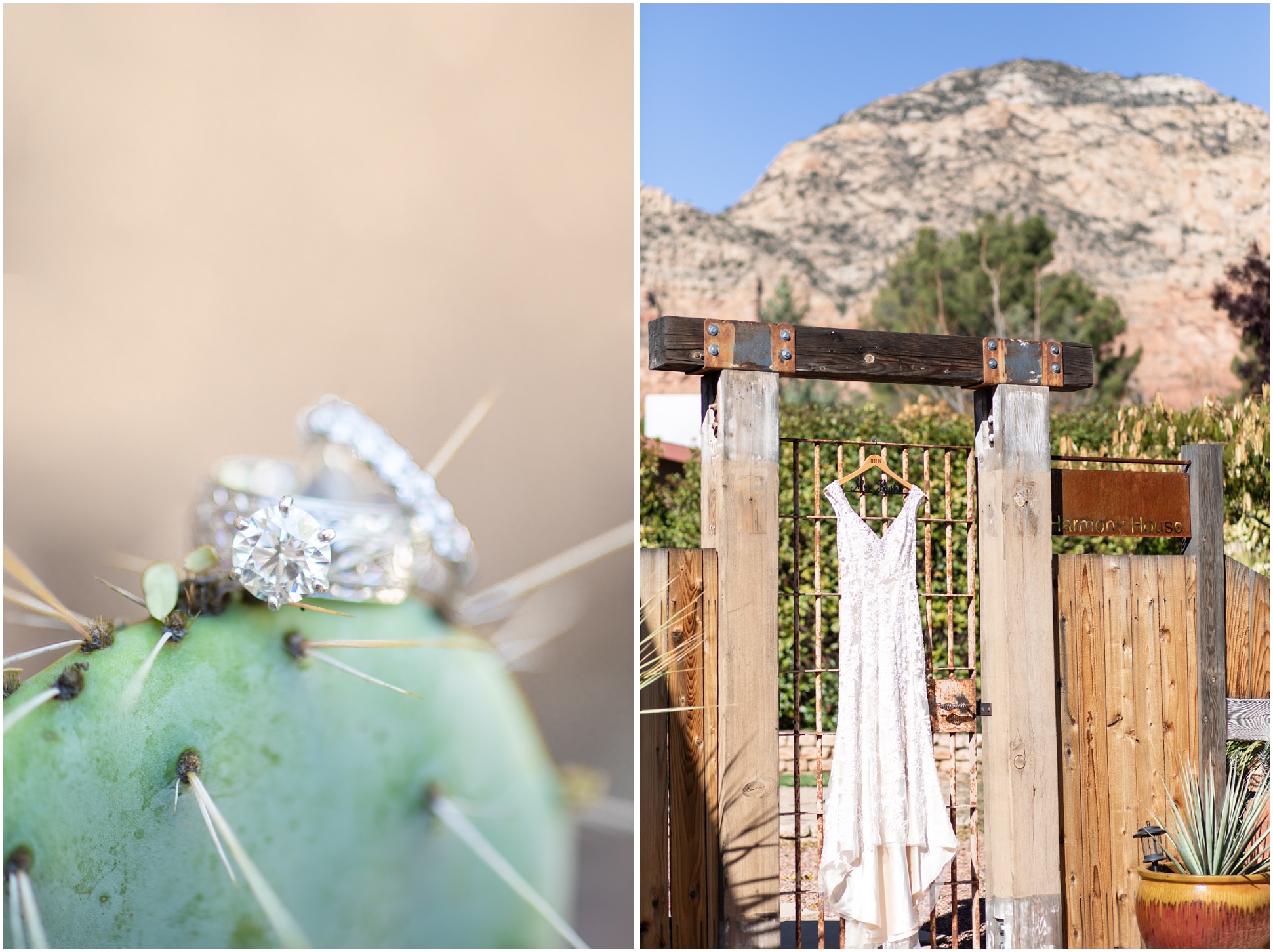 Left Image: Rings on prickly pear cactus, right image: dress hanging on metal gate in front of mountain in sedona
