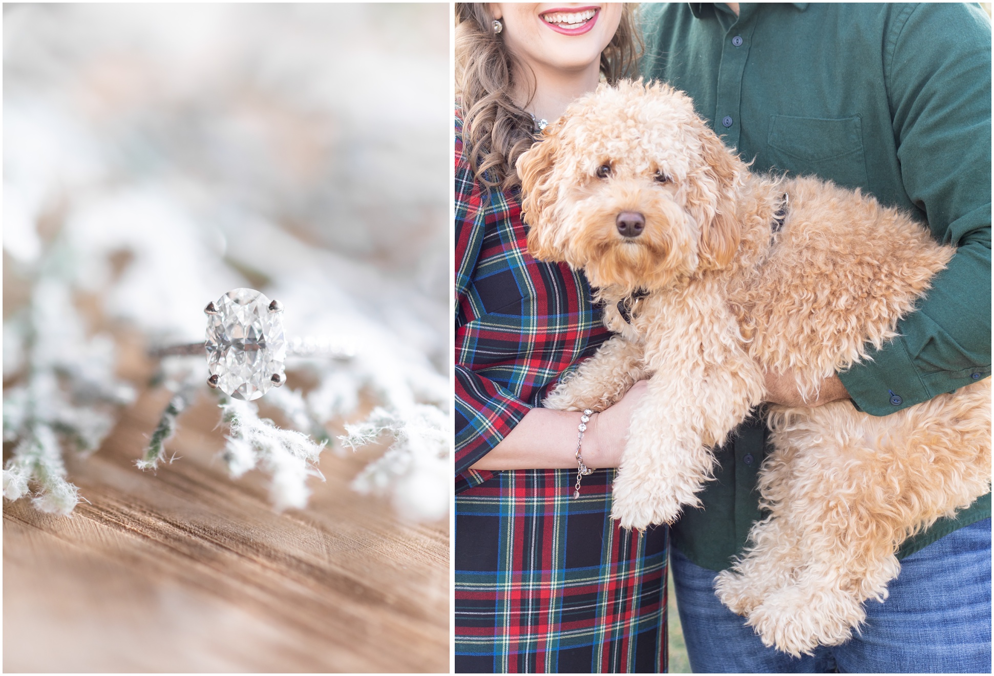 left image: solitare engagement ring on a snowy fern, right image: engaged couple holding their puppy