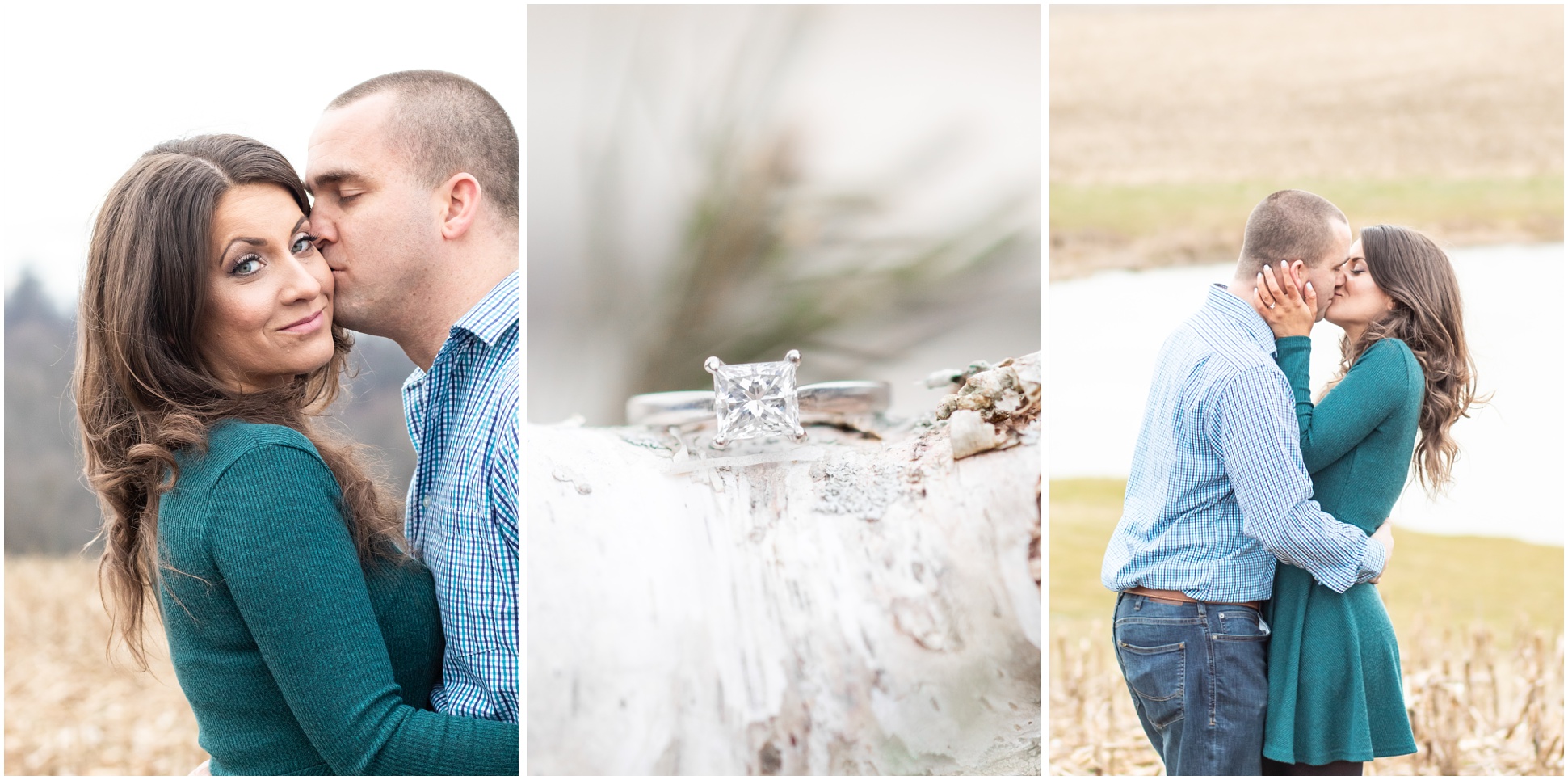 Three photos from Valerie and Ryan's Engagement session