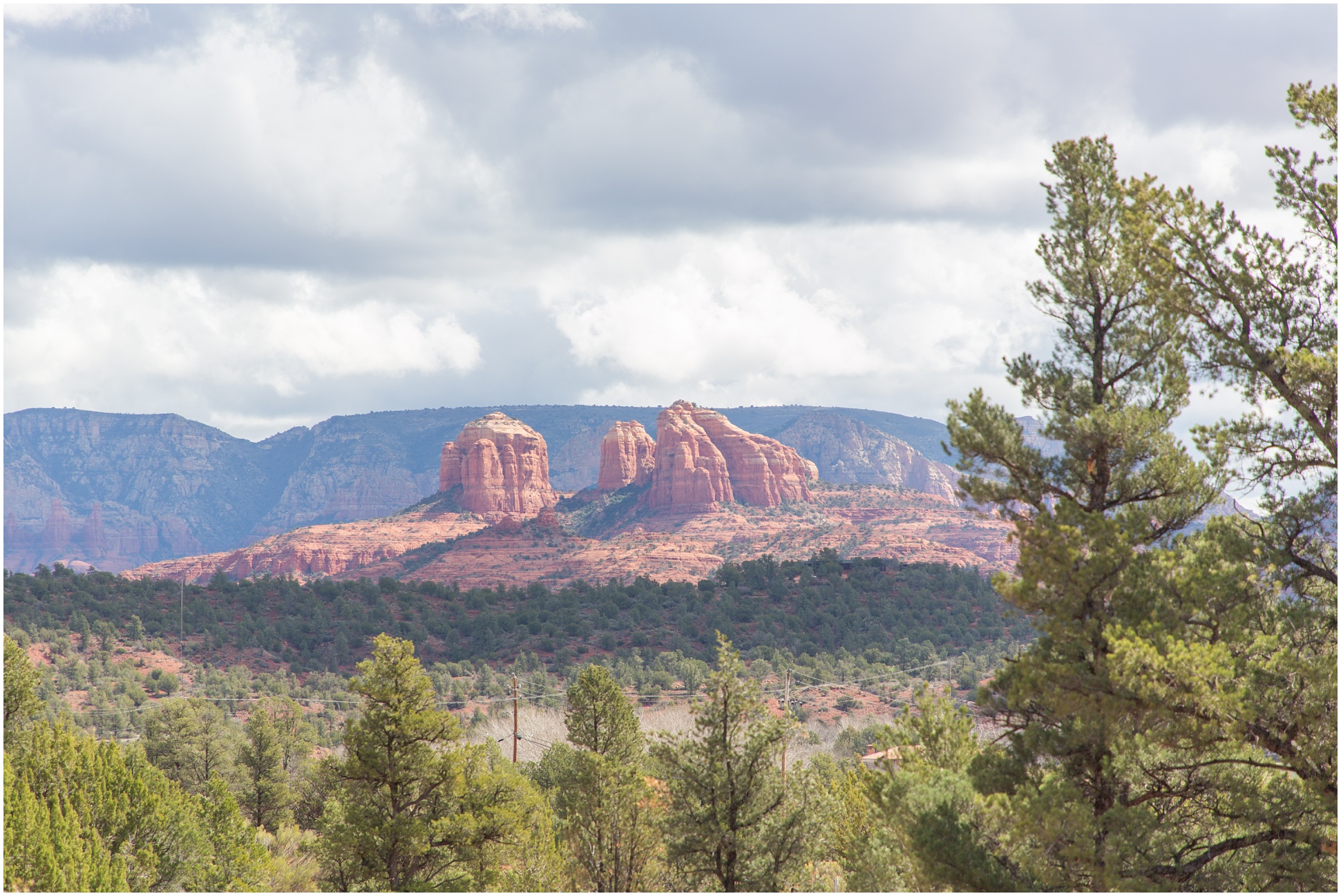 Landscape of Sedona with evergreen trees