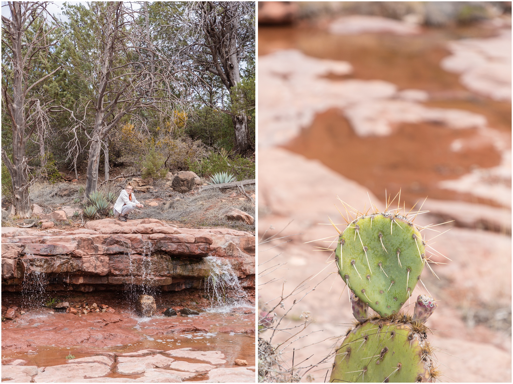 Left: My daughter playing in the creek at Schnebly Hill, Right: Cactus growing in the creek at Schnebly Hill