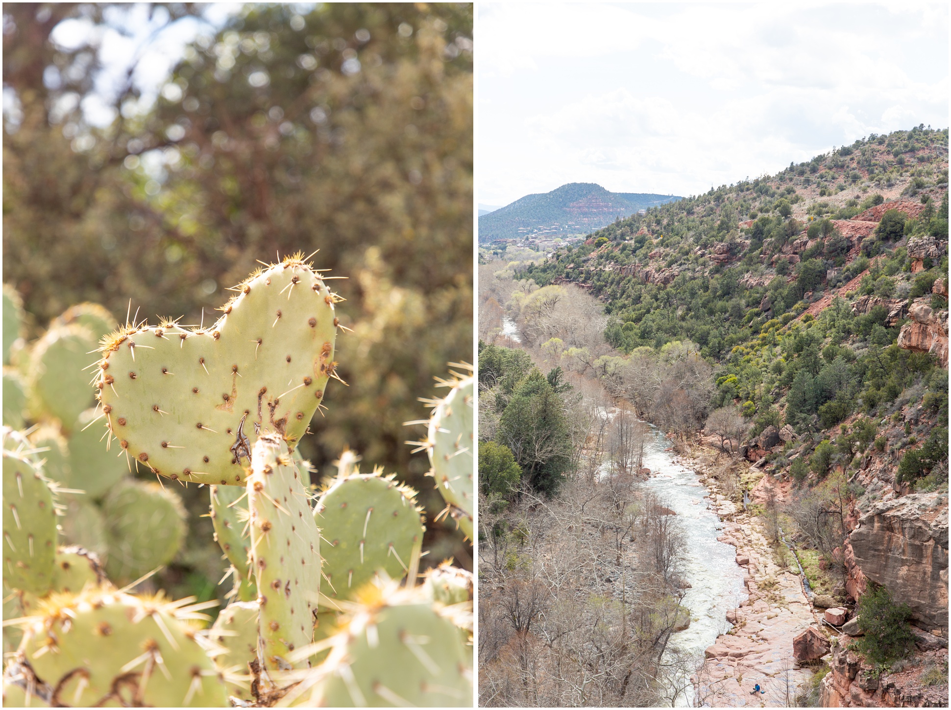 Left: Heart Shaped Prickly Pear, Right: The Colorado River