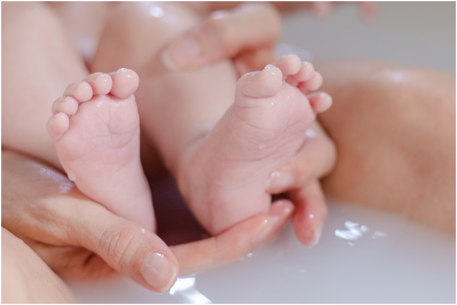 Close up of ten tiny toes during a milk bath.