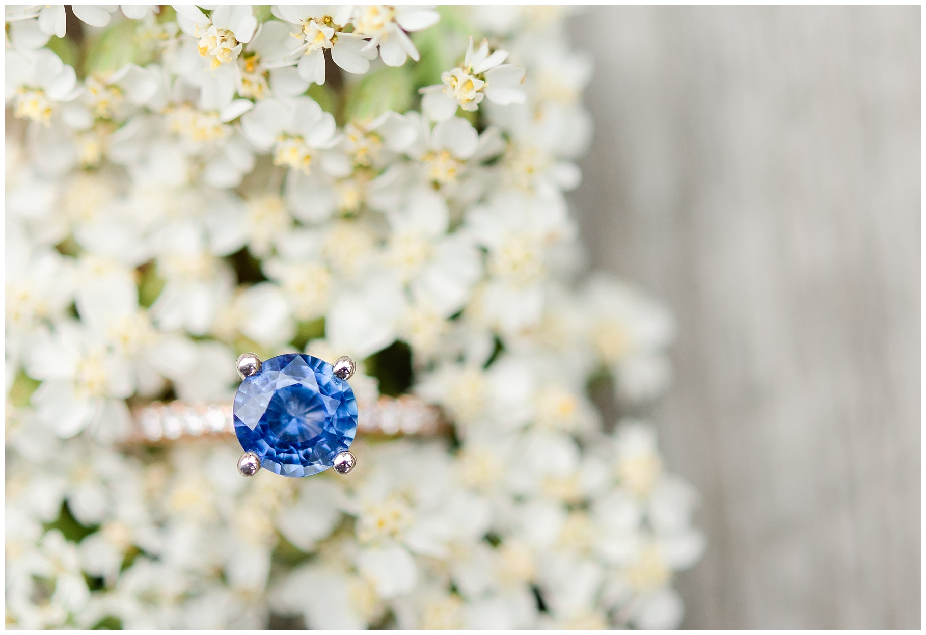 Blue Sapphire Engagement Ring on Bed of White Flowers