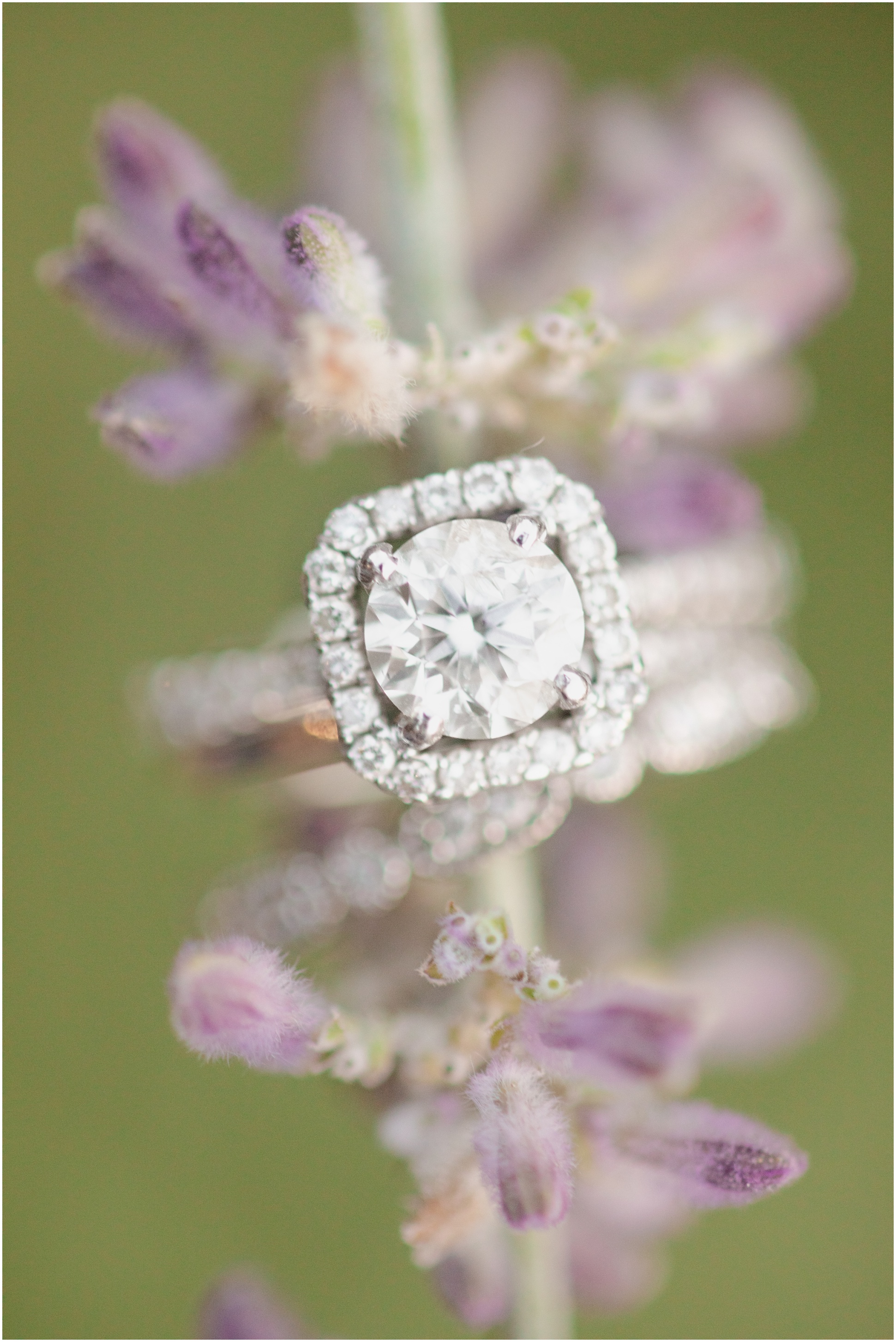 Square, two tiered engagement ring on lavender flower