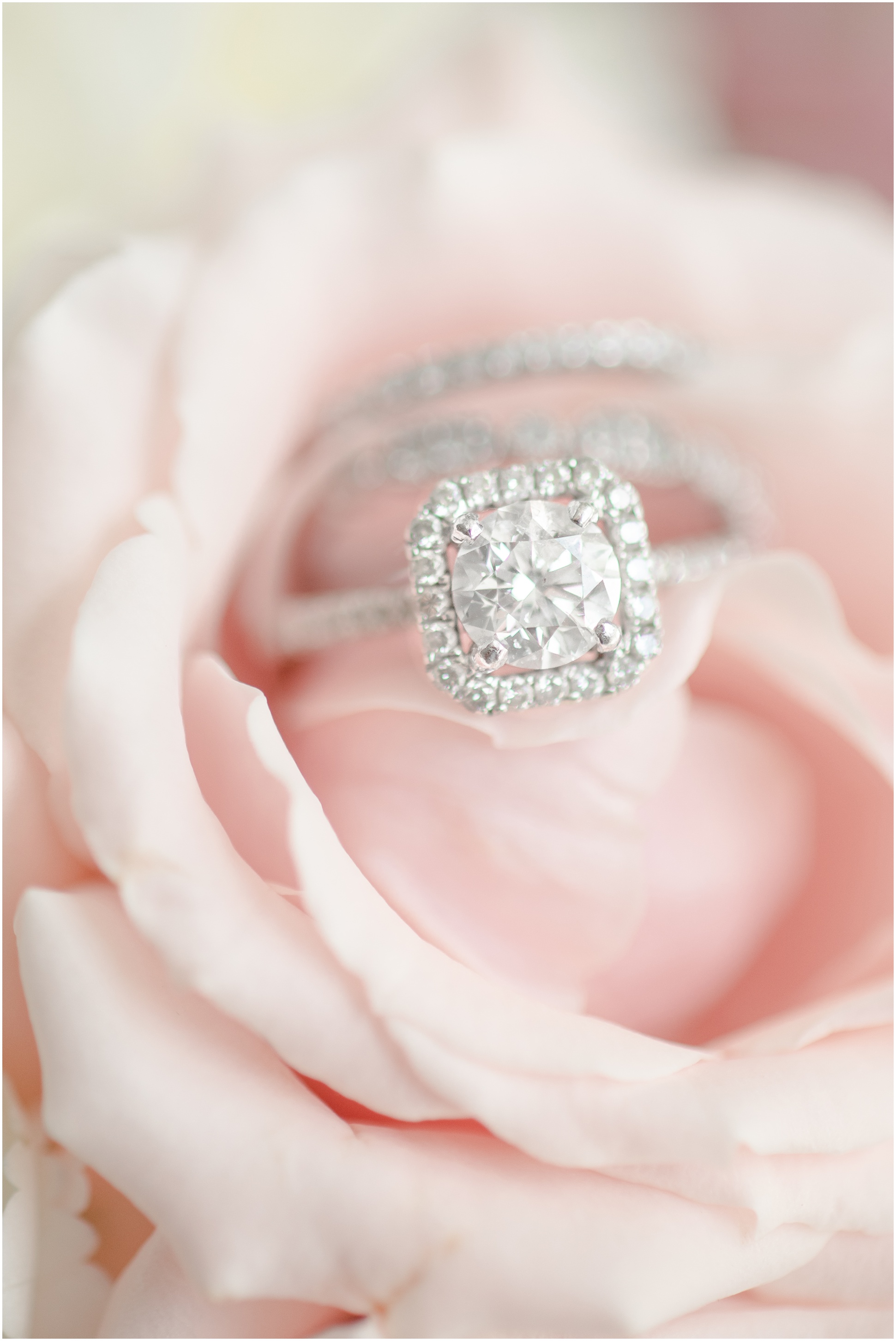 Square diamond engagement ring and wedding bands inside the petals of a blush rose