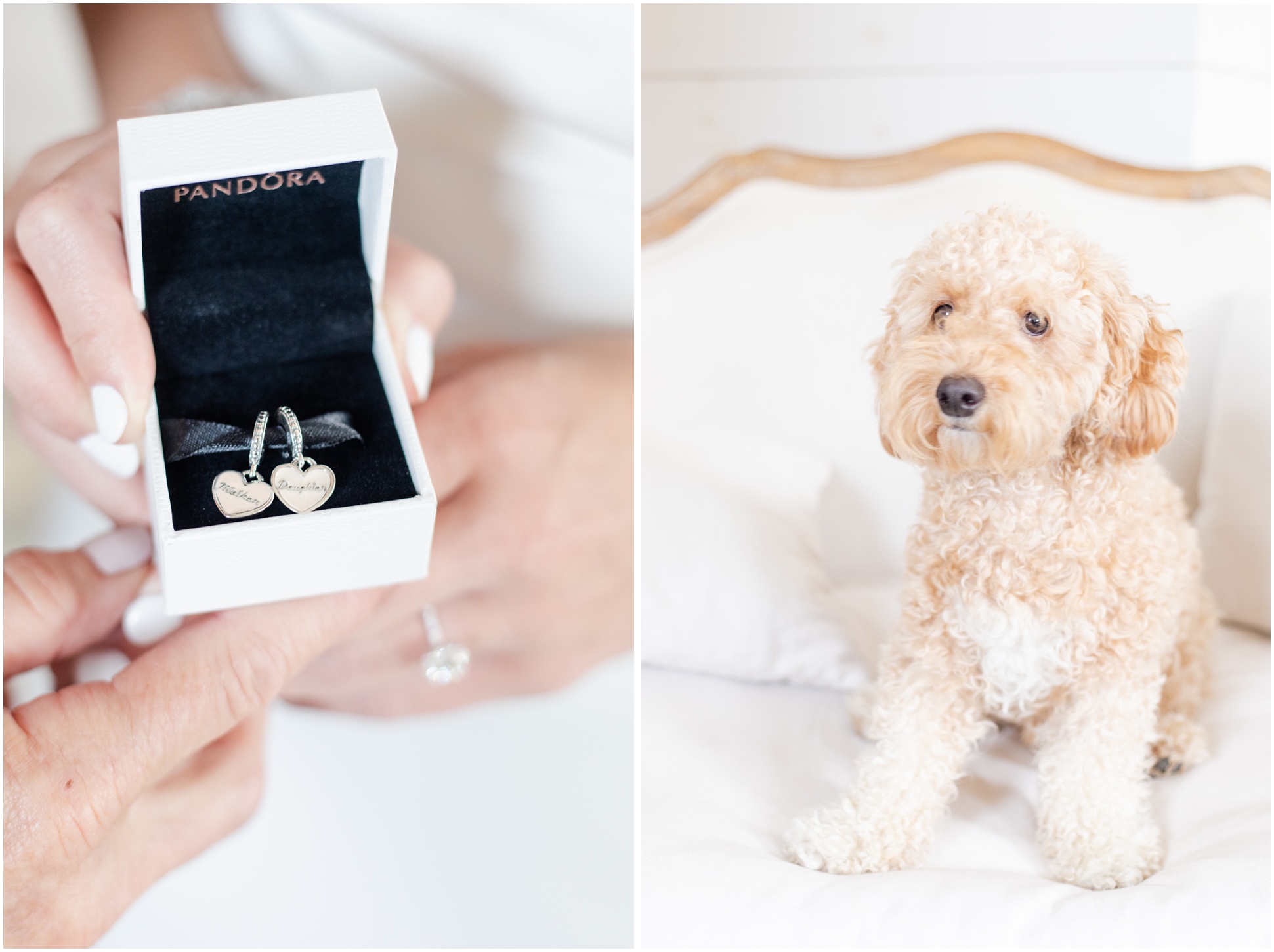 Left: Mother of the Bride Gift, Right: Puppy on a white couch