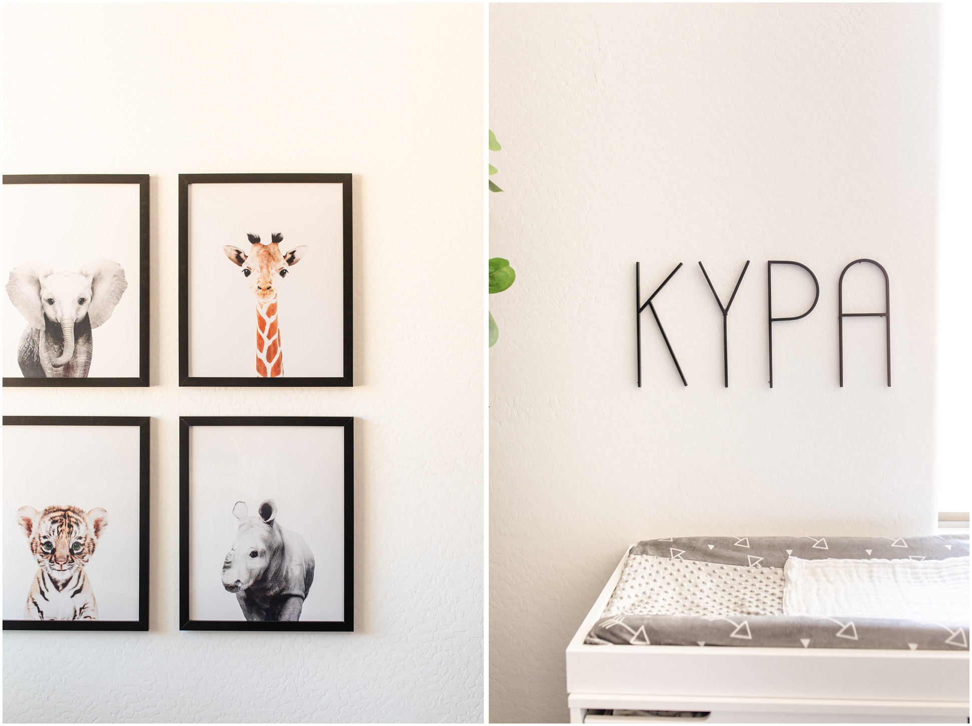 animal paintings in black frames on white wall in baby nursery; black letters above changing table in nursery