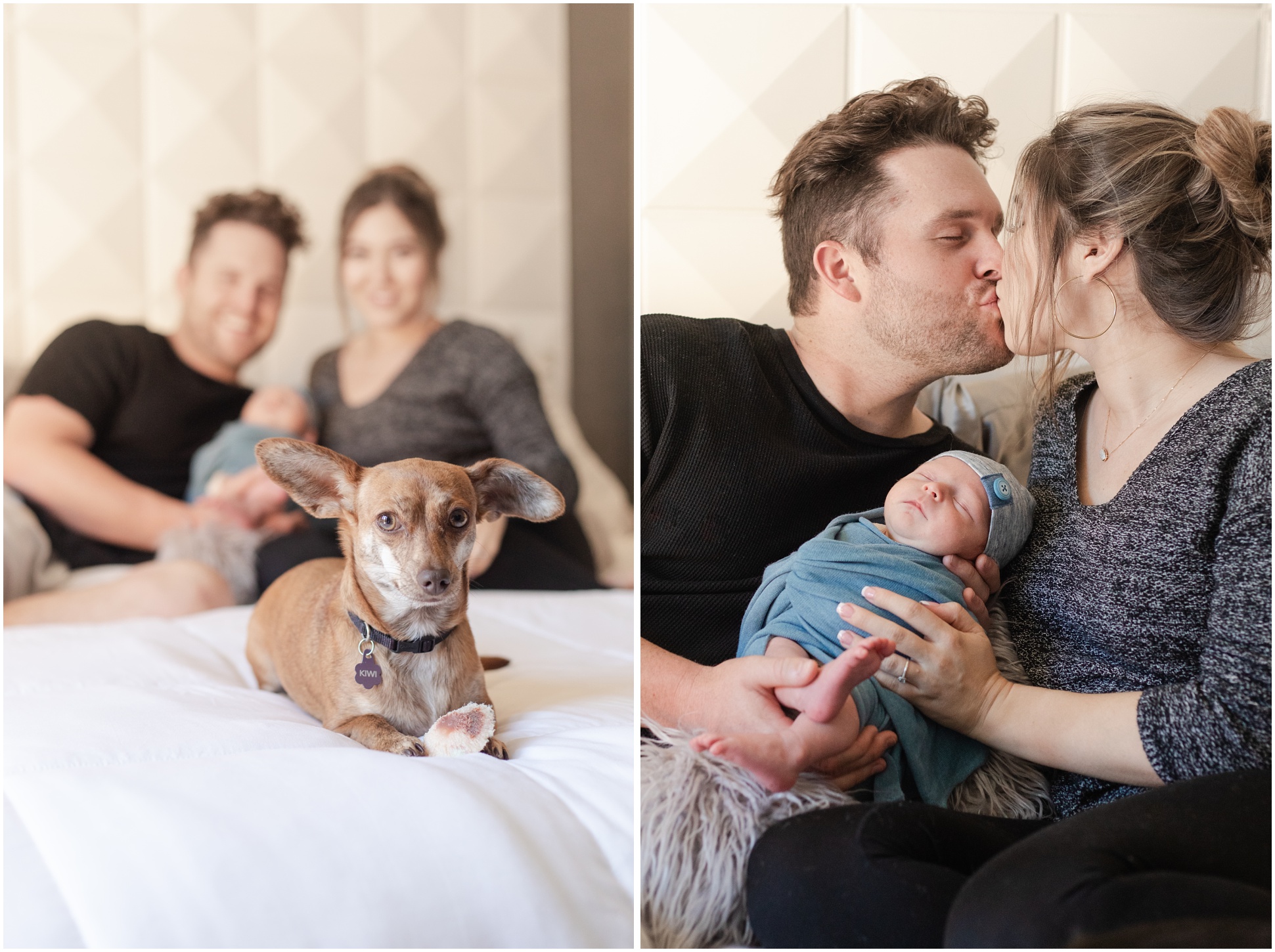family dog in focus on bed with mom dad and newborn smiling in background; mom and dad kissing while holding baby in between them