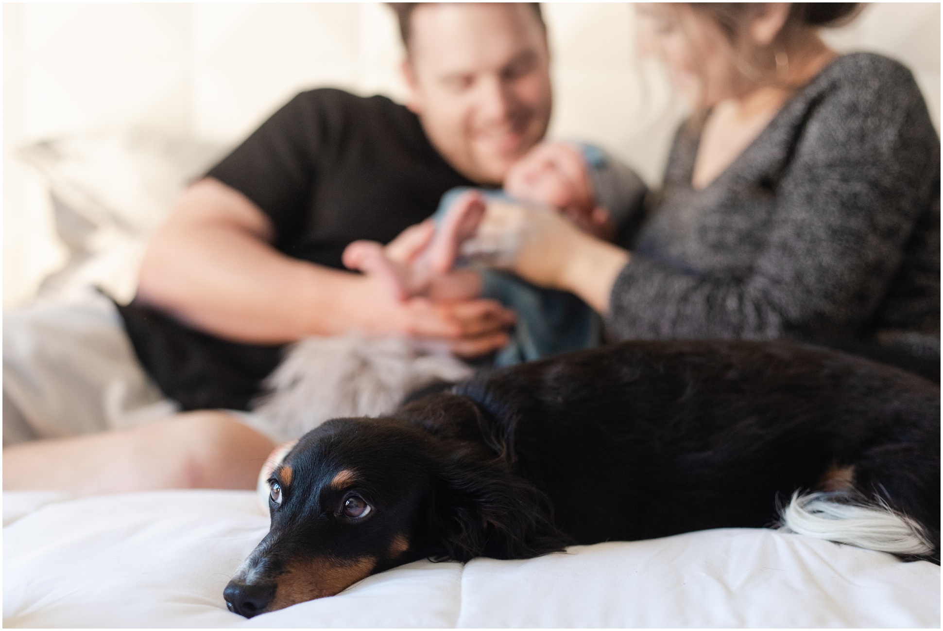 family dog in focus with newborn mom and dad in background