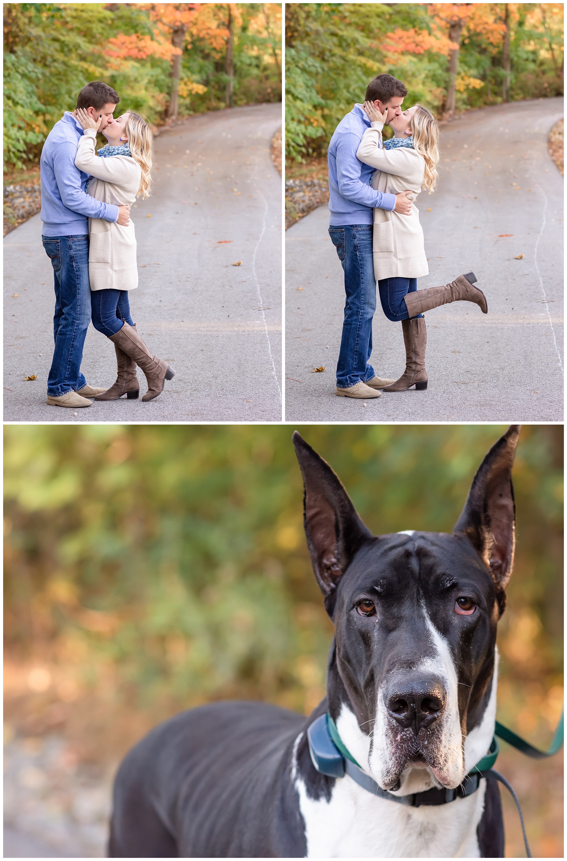 Fall engagement photo collage