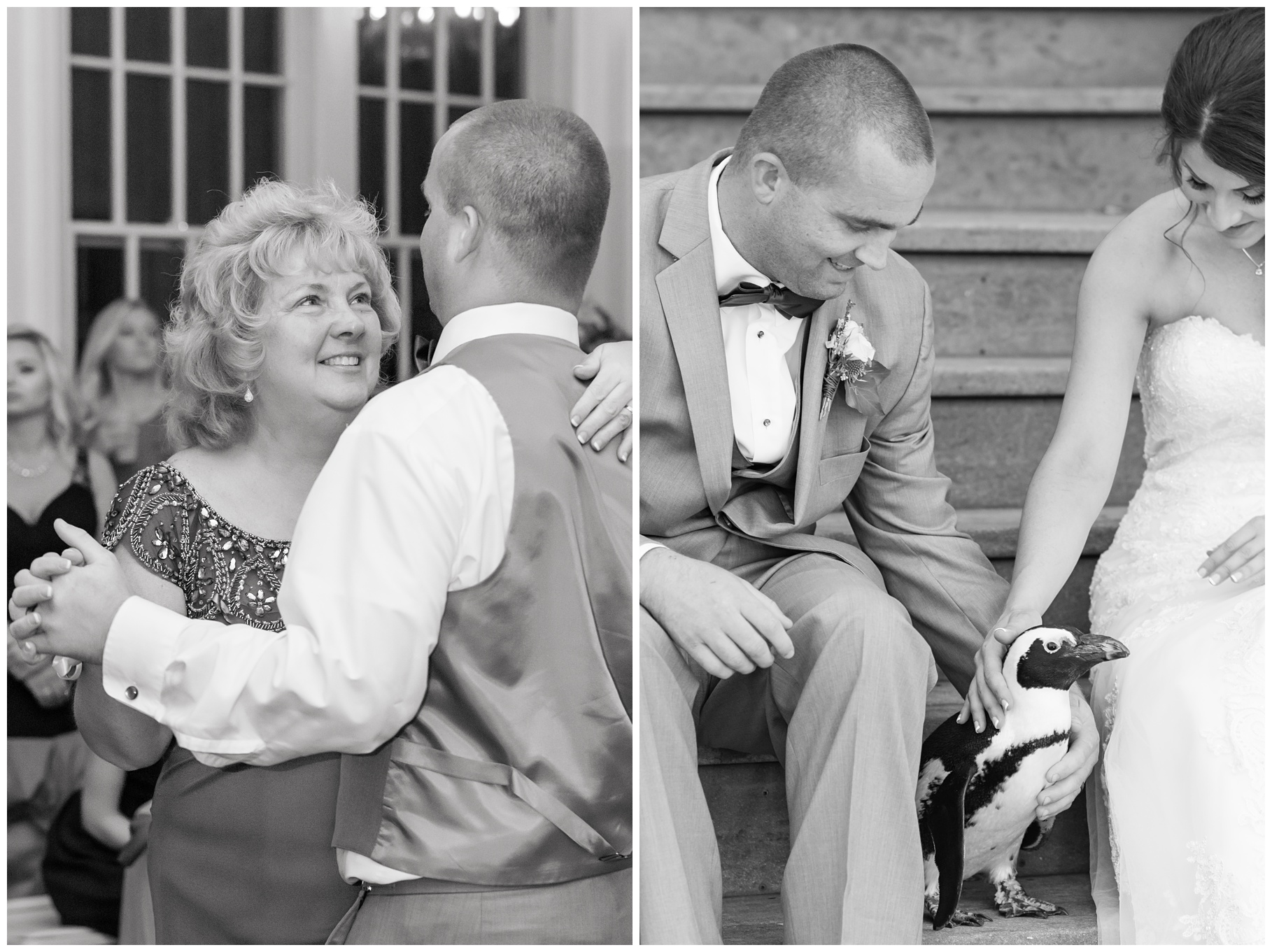 Collage of mother + groom and bride + groom+ penguin