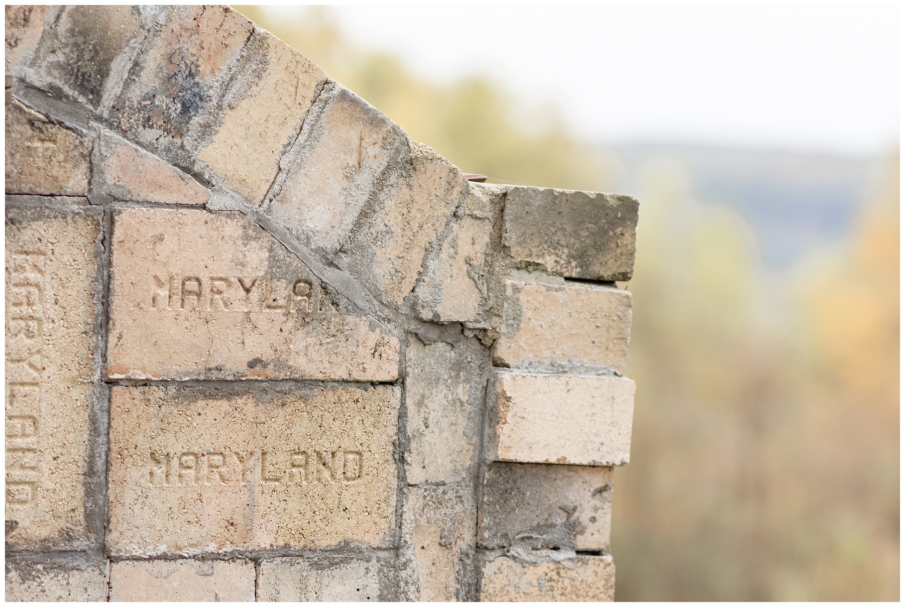 Maryland stamped outdoor brick pizza oven