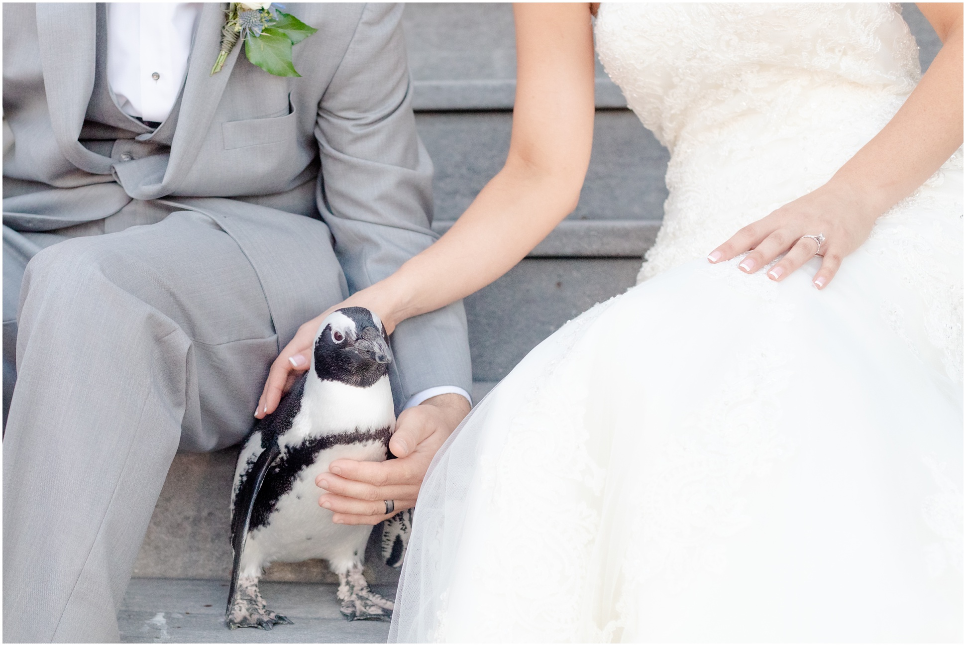 Dawn the Penguin sitting in between the bride and groom on their wedding day