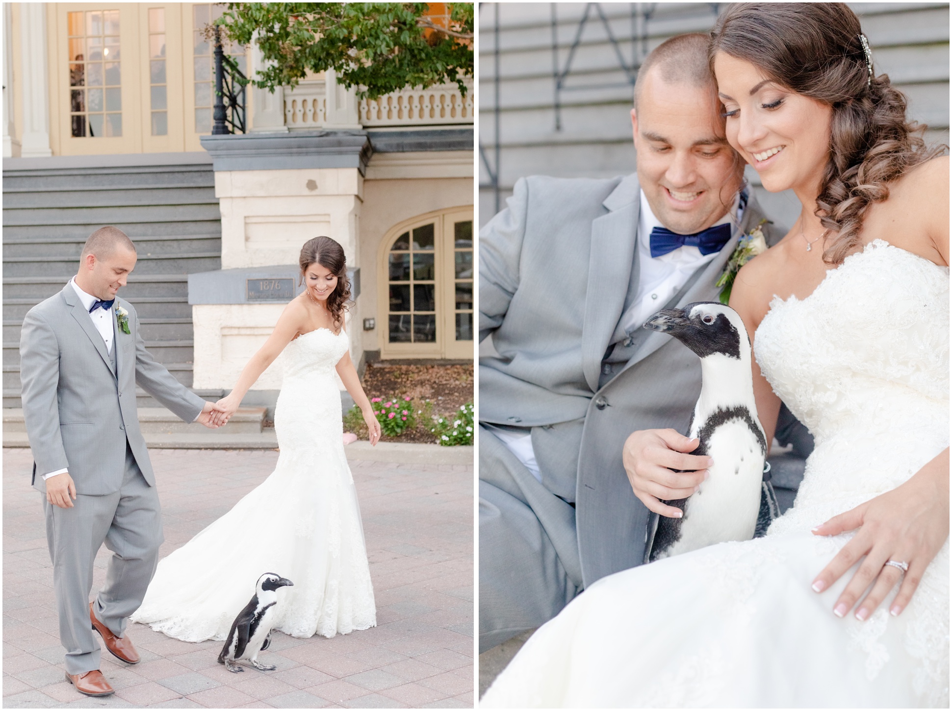 Two Wedding Day Portraits with Dawn, the penguin from the MD Zoo