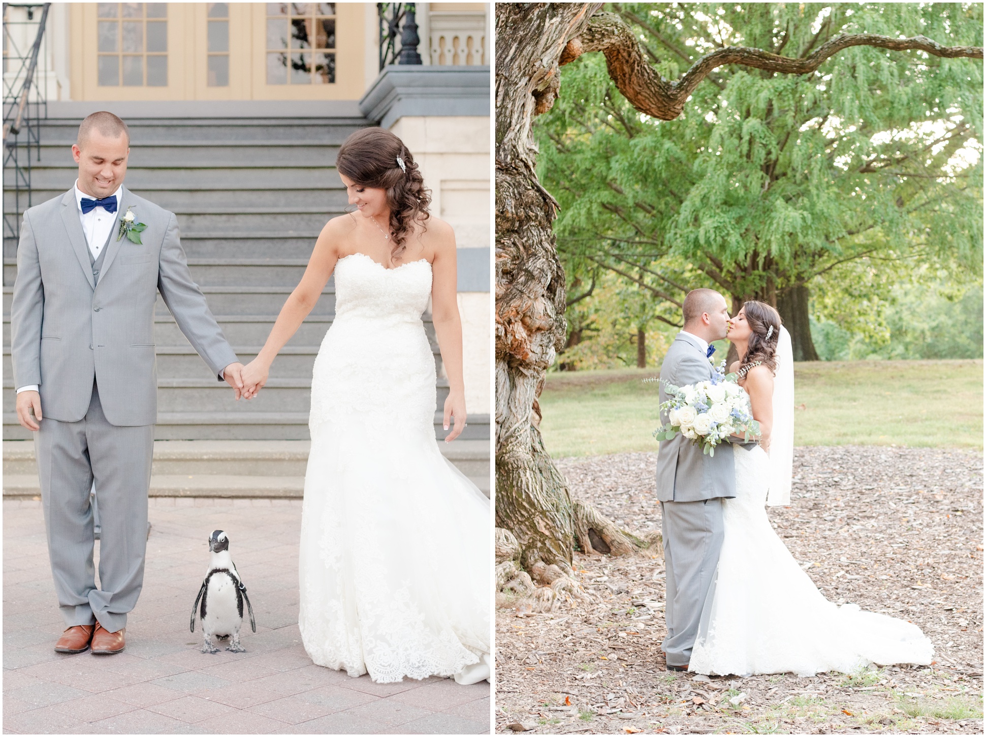 Husband and Wife Portraits for Valarie and Ryan Heaps at the MD Zoo