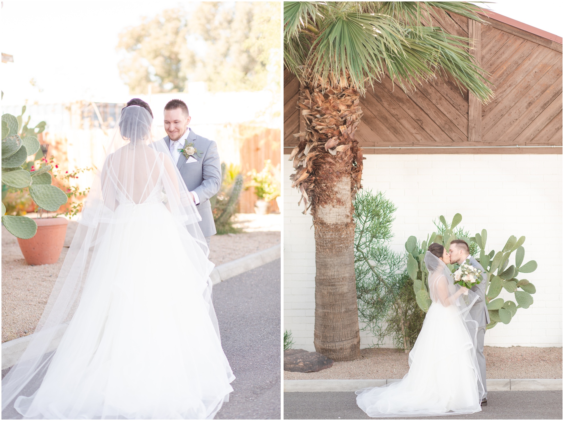 Groom looking at bride with excitement, Bride and Groom kissing in front of palm tree and cactus