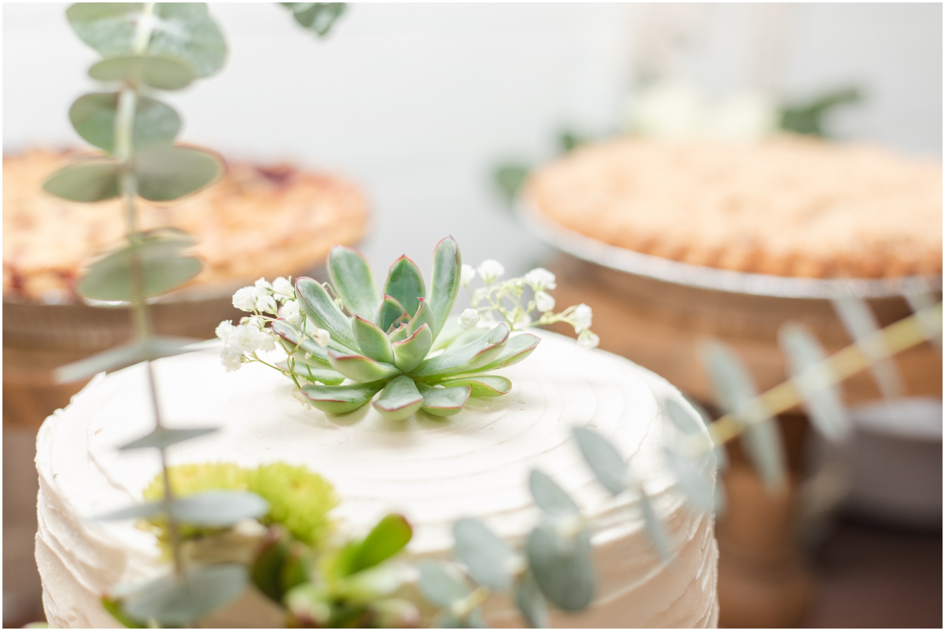 white wedding cake with succulent on top