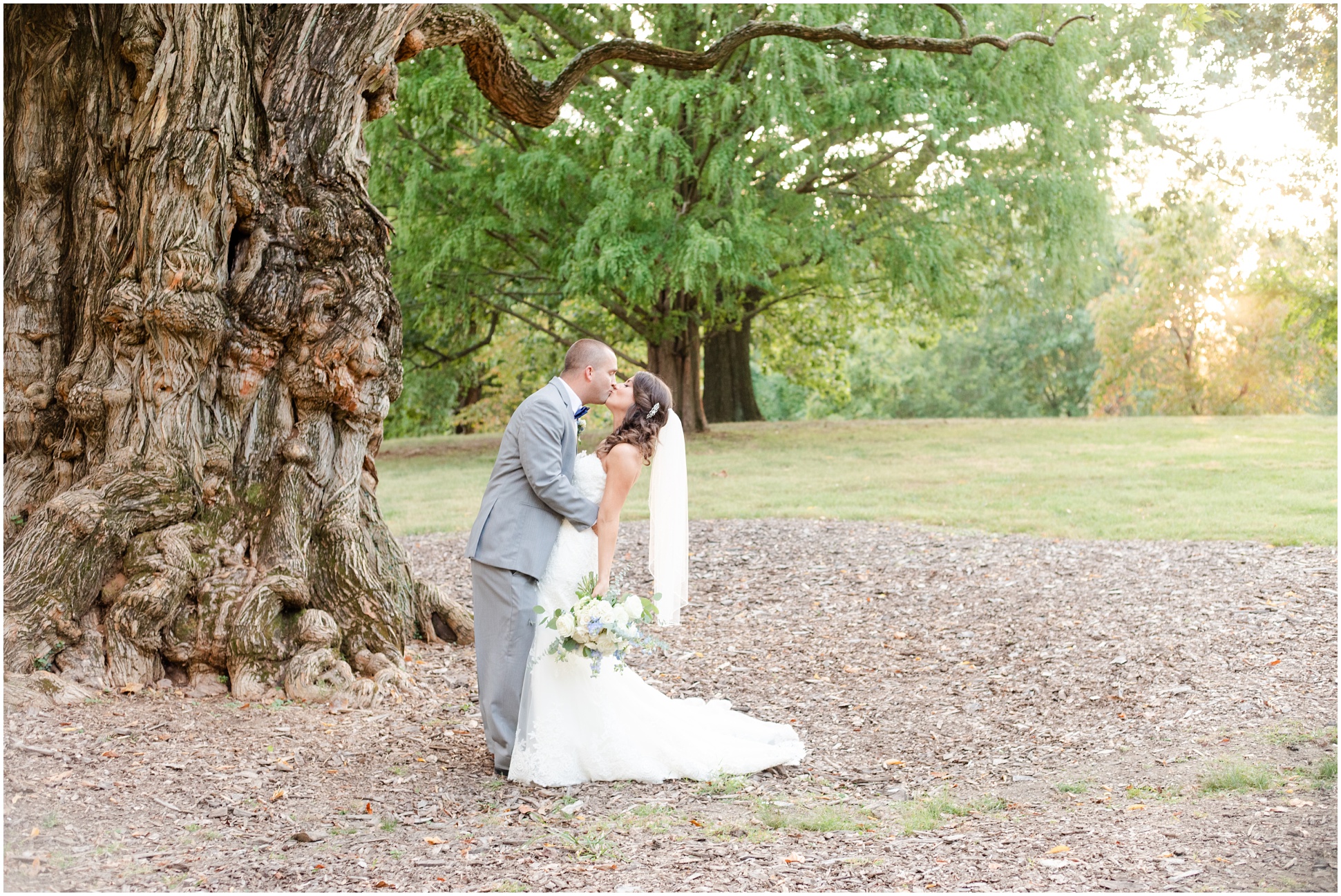 Bride and groom kissing under giant tree