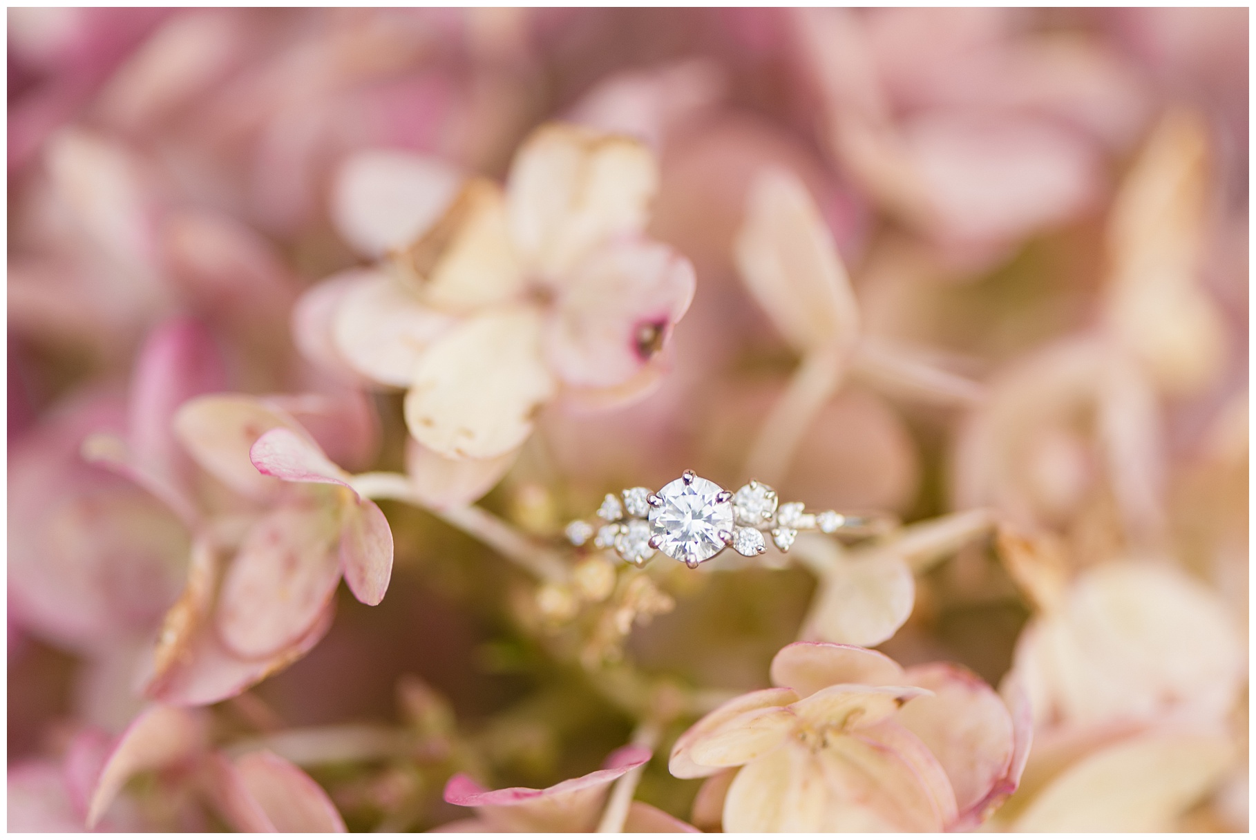 Engagement ring in hydrangea